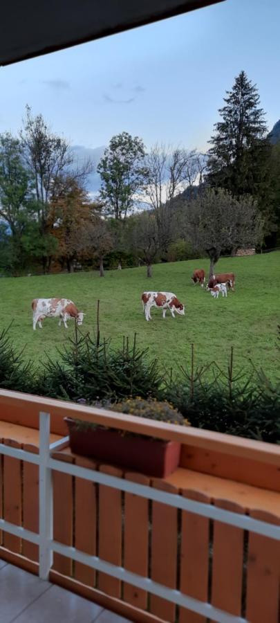 Apartma Rozle Mojstrana Bagian luar foto