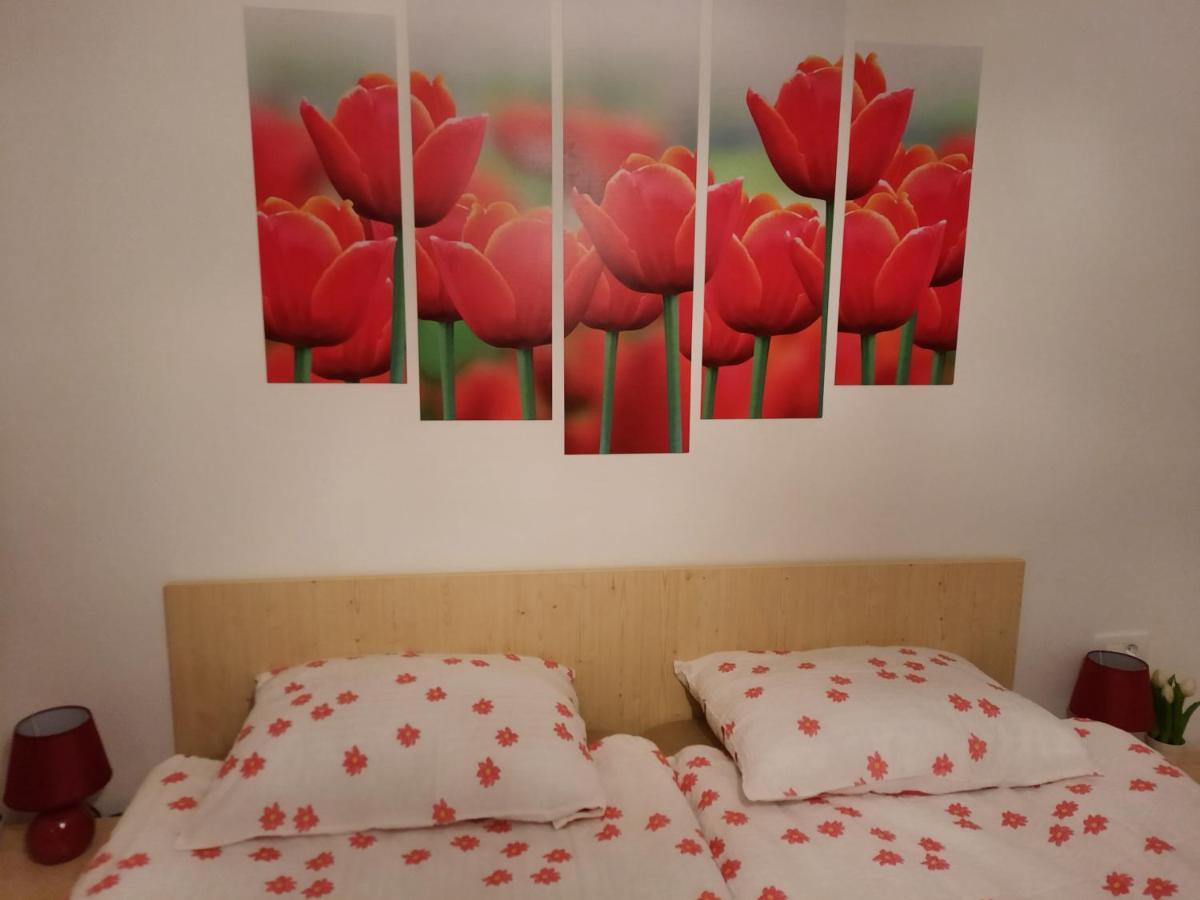 Apartma Rozle Mojstrana Bagian luar foto