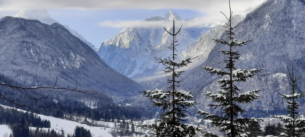Apartma Rozle Mojstrana Bagian luar foto