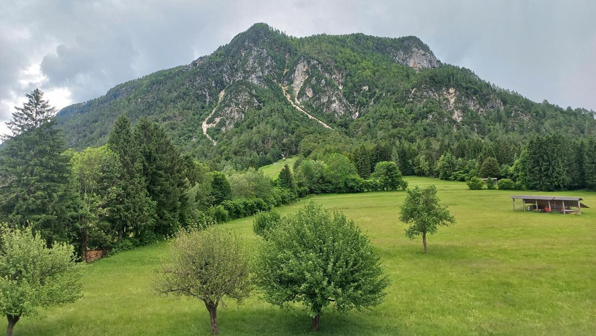 Apartma Rozle Mojstrana Ruang foto